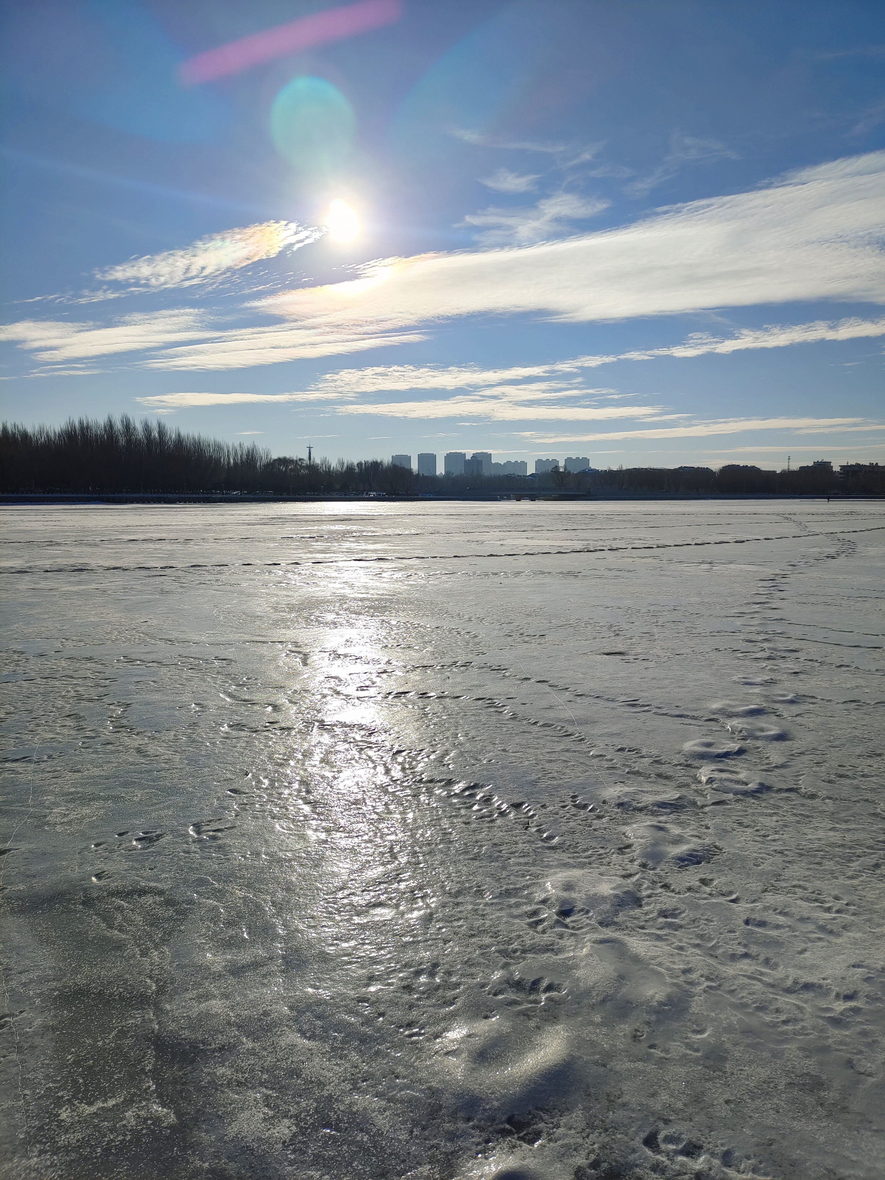 微信图片_20241212224611