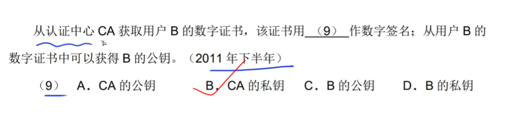 image-20250306153131541